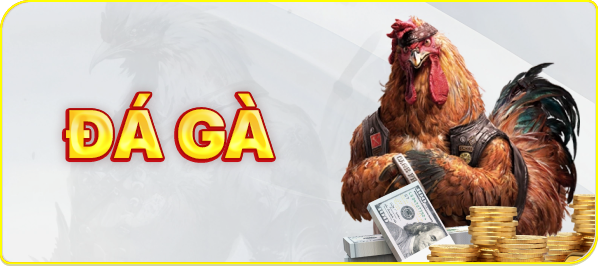 Đá gà